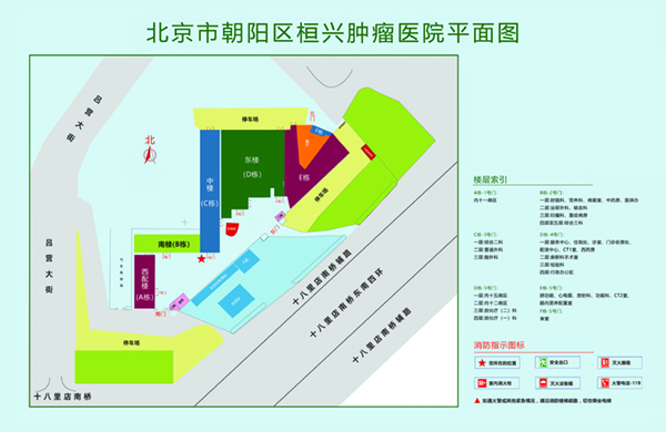 免费骚逼网站北京市朝阳区桓兴肿瘤医院平面图